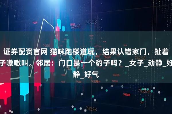 证券配资官网 猫咪跑楼道玩，结果认错家门，扯着嗓子嗷嗷叫。邻居：门口是一个豹子吗？_女子_动静_好气