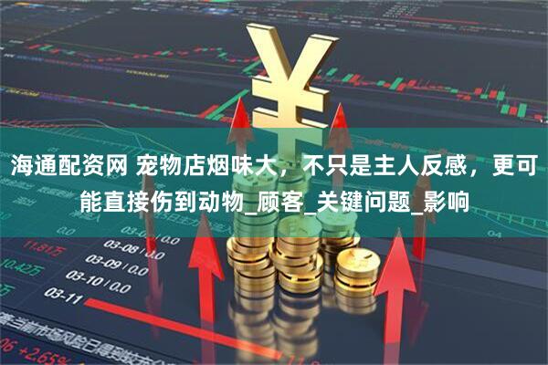海通配资网 宠物店烟味大，不只是主人反感，更可能直接伤到动物_顾客_关键问题_影响